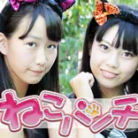 ねこパンチ 秋葉原で活躍中のアイドルグループ アイドルグループ