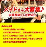 めいぷる秋葉原店