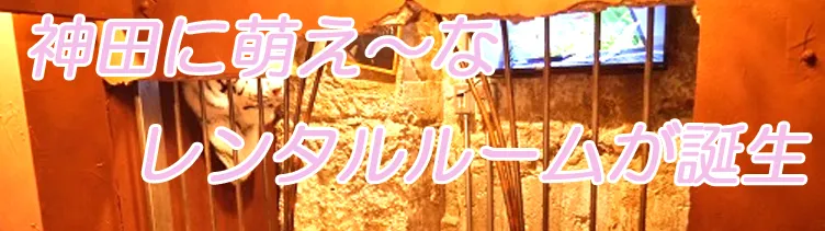 萌え萌えレンタルルーム 神田ティアラ 神田 萌え新業種など