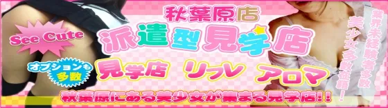 派遣見学店シーキュート 秋葉原 派遣リフレ