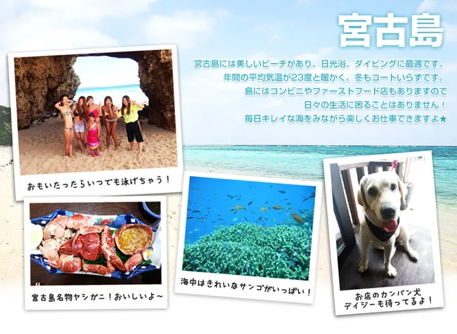 特集サブ画像