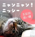 ニャンニャン!ニッシー 新橋/五反田 添い寝