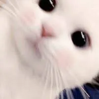 らて
