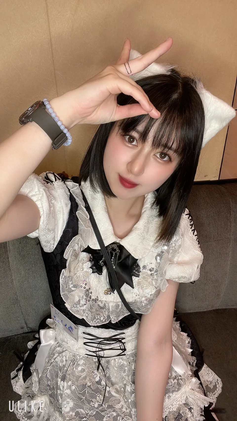 いつきるい