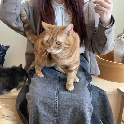 てん