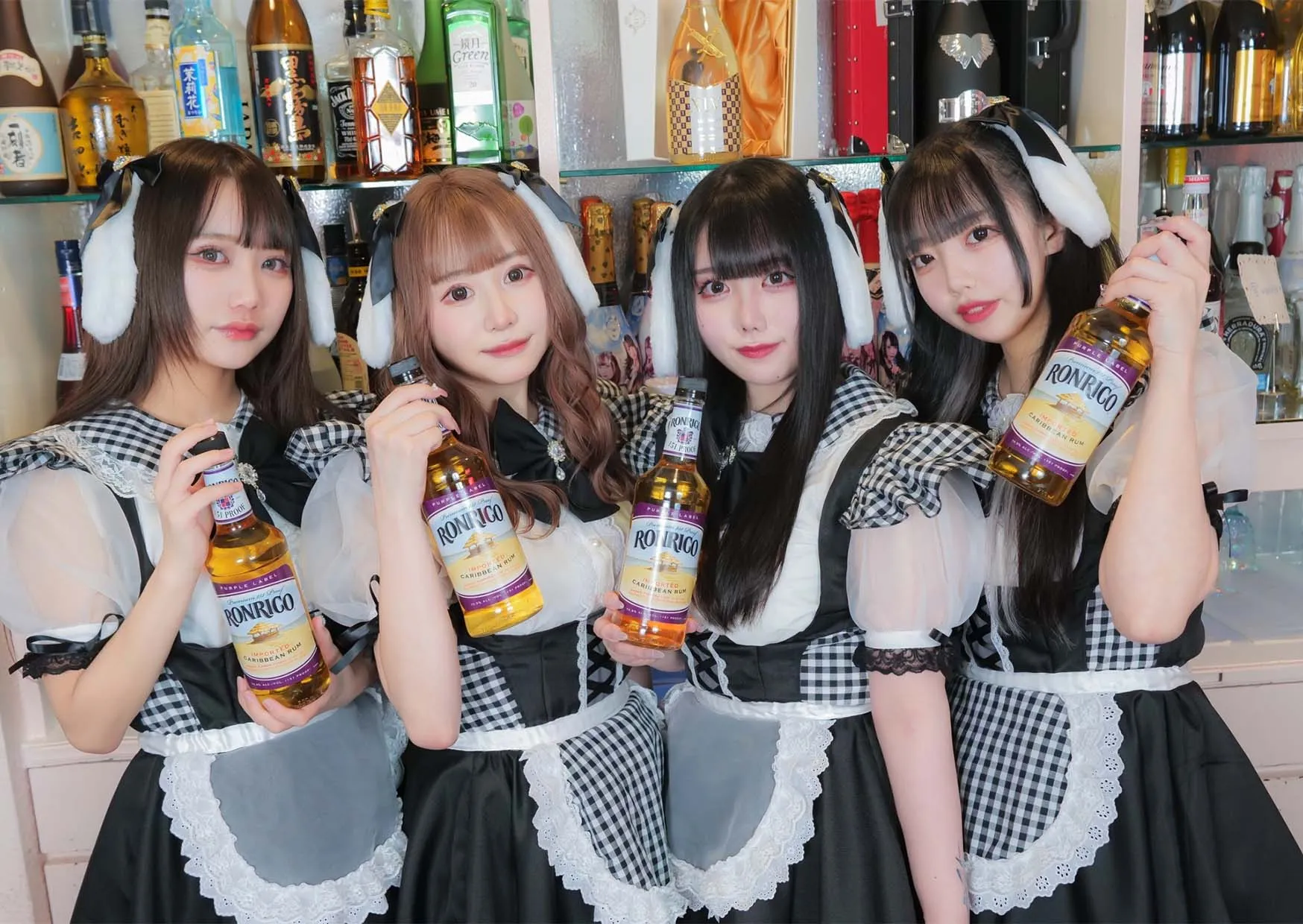 うさしんナイト