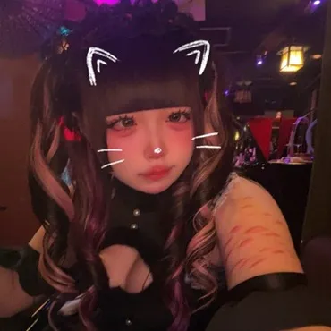 うたん