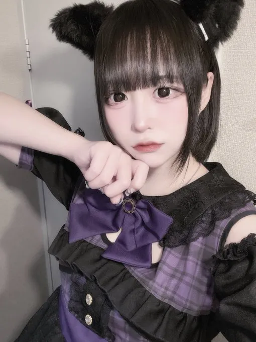 シッポライダー