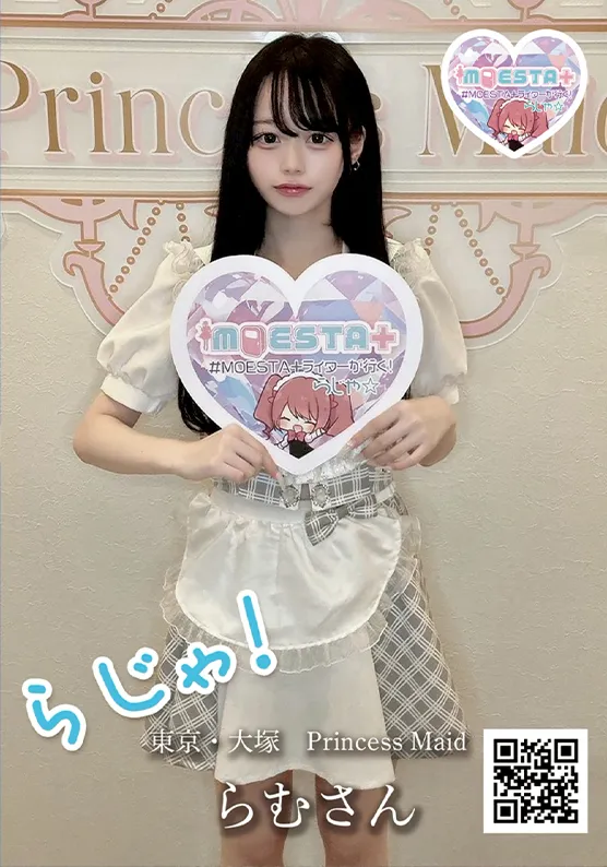 プリンセスメイド2509