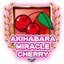 秋葉原ミラクルチェリー