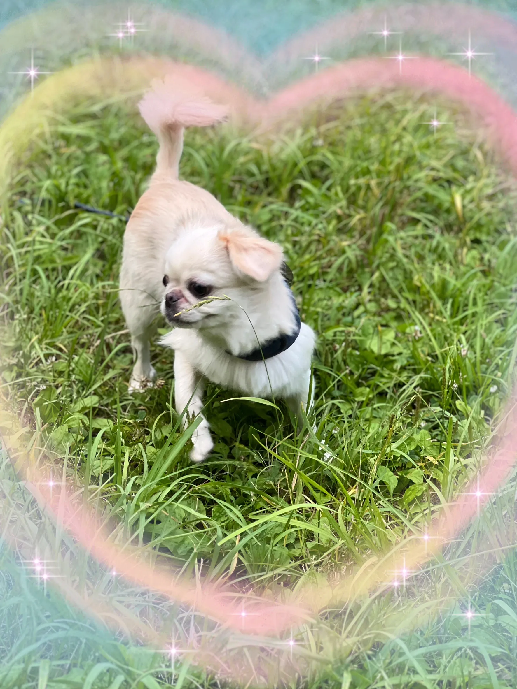 みんです🍎
