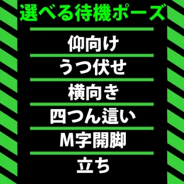 グラビア写真 142557