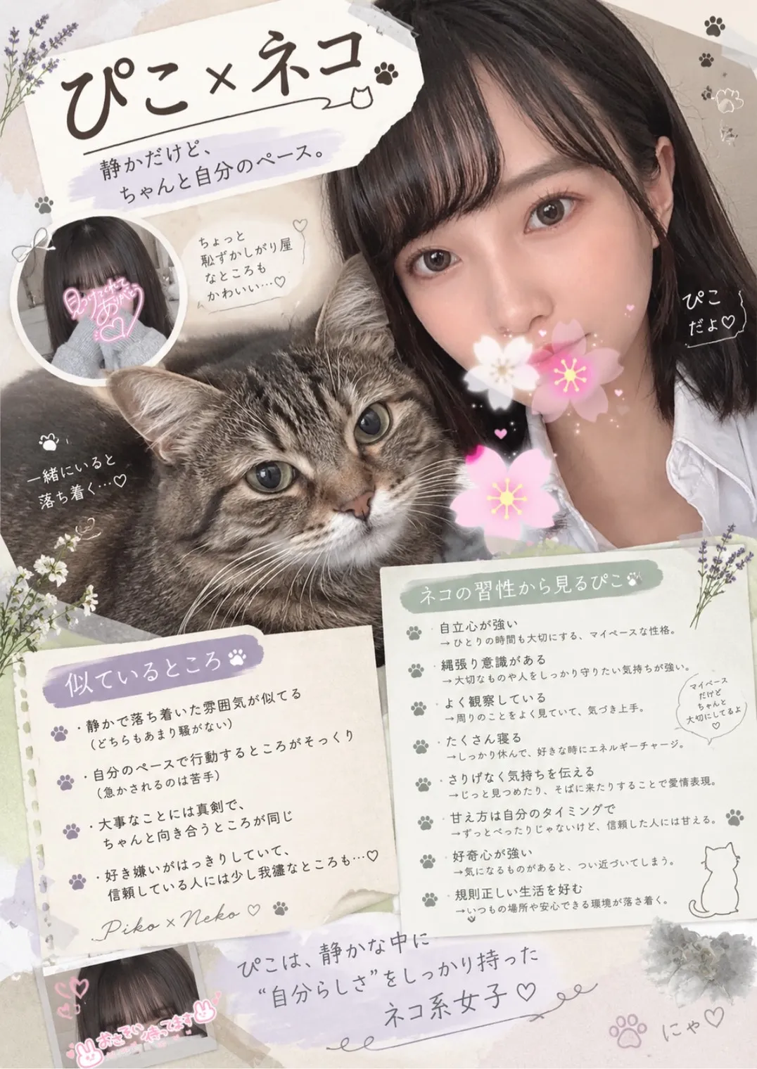 ぴこ