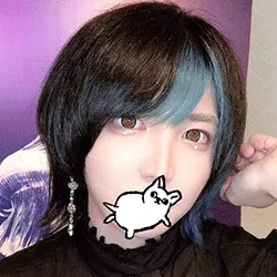 チワワ