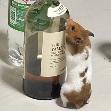 image 170354