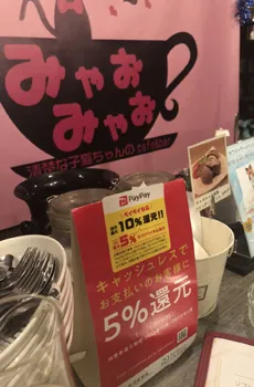 秋葉原猫メイドカフェみゃおみゃお！お得クーポンあり♪