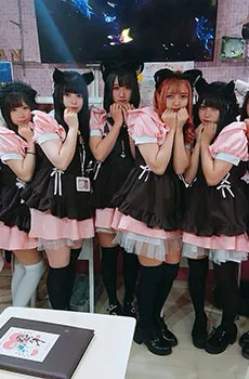 仙台のコンカフェ・メイドカフェは名店揃い!!第一弾は仙台にゃんぽんたん♪