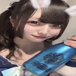 ヒビキ