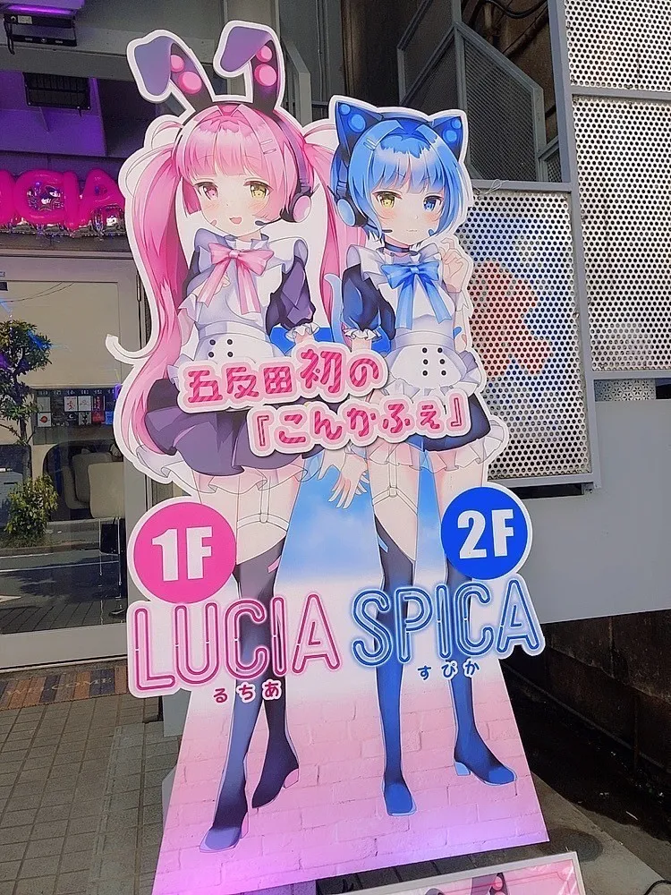 Image title