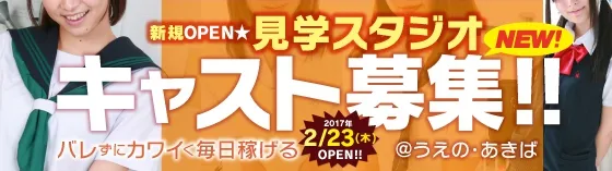 TPK (上野 秋葉原コスプレ見学店) 上野/神田/鶯谷/御徒町 見学店