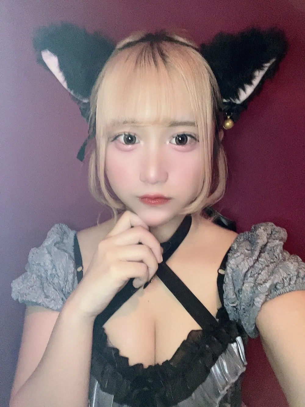 ちの猫