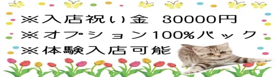 派遣リフレひだまり 秋葉原 派遣リフレ