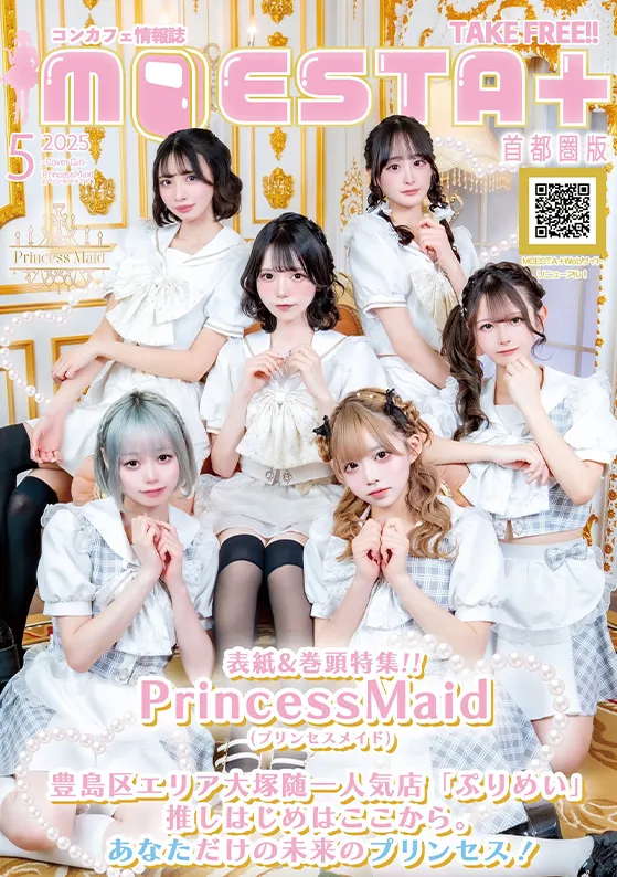 プリンセスメイド表紙_0525