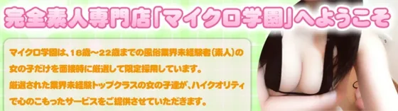 マイクロ学園 秋葉原 オナクラ・手コキ風俗