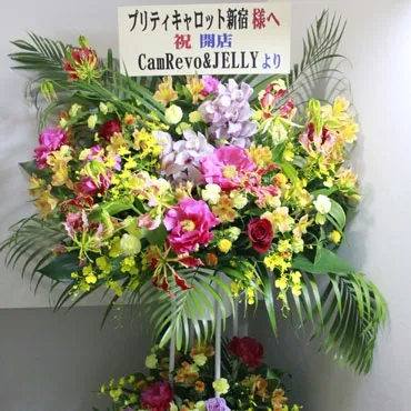 image 20513